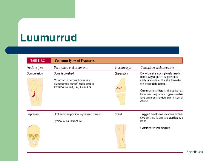 Luumurrud Table 6. 2 continued 