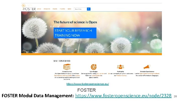 https: //www. fosteropenscience. eu/ FOSTER Modul Data Management: https: //www. fosteropenscience. eu/node/2328 28 