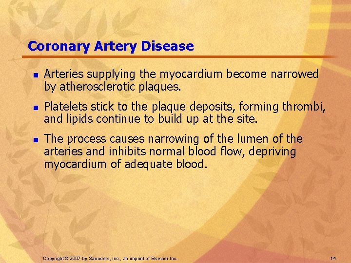 Coronary Artery Disease n n n Arteries supplying the myocardium become narrowed by atherosclerotic