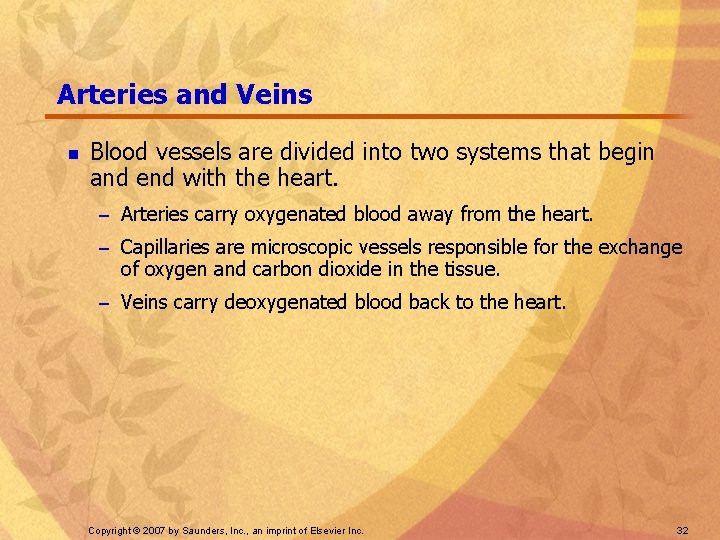 Arteries and Veins n Blood vessels are divided into two systems that begin and