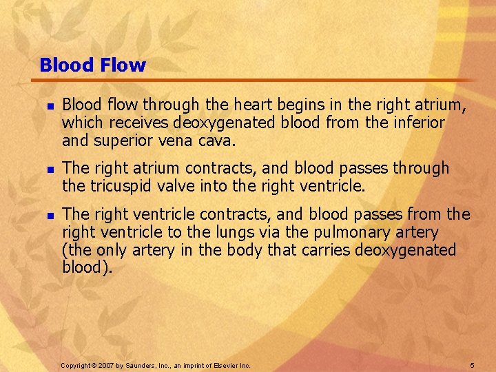 Blood Flow n n n Blood flow through the heart begins in the right