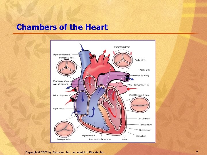 Chambers of the Heart Copyright © 2007 by Saunders, Inc. , an imprint of