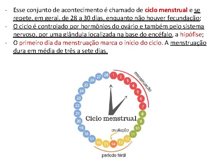 - Esse conjunto de acontecimento é chamado de ciclo menstrual e se repete, em