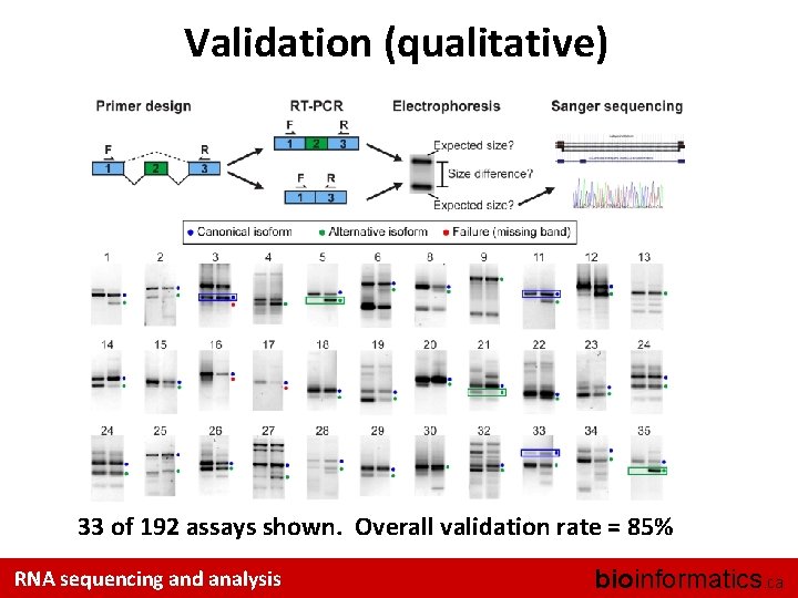 Validation (qualitative) 33 of 192 assays shown. Overall validation rate = 85% RNA sequencing