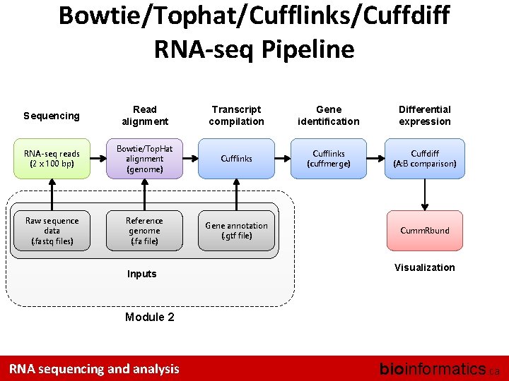 Bowtie/Tophat/Cufflinks/Cuffdiff RNA-seq Pipeline Sequencing Read alignment Transcript compilation Gene identification Differential expression RNA-seq reads