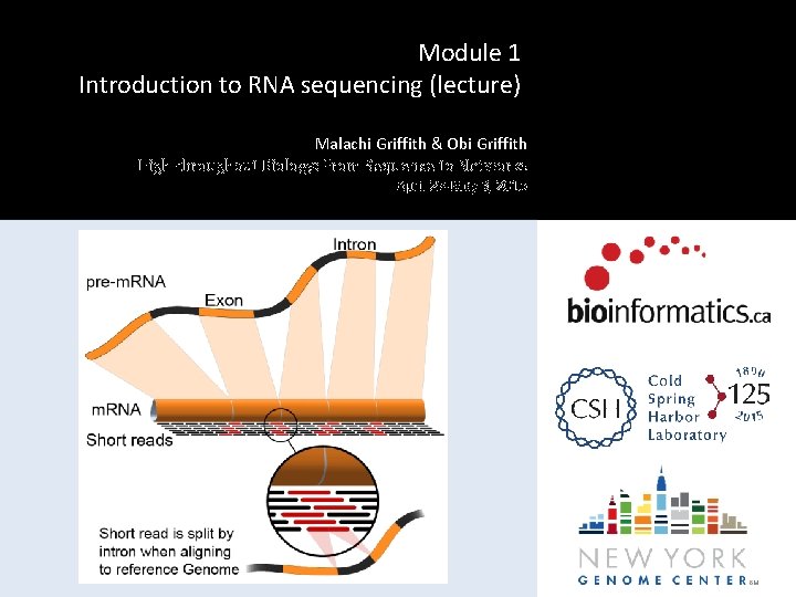 Module 1 Introduction to RNA sequencing (lecture) Malachi Griffith & Obi Griffith High-throughput Biology: