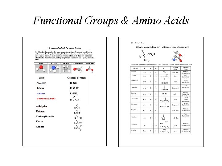 Functional Groups & Amino Acids 