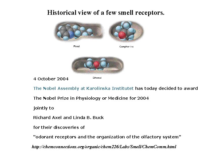 Historical view of a few smell receptors. 4 October 2004 The Nobel Assembly at