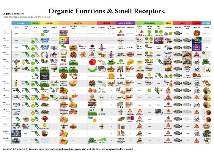 Organic Functions & Smell Receptors. 