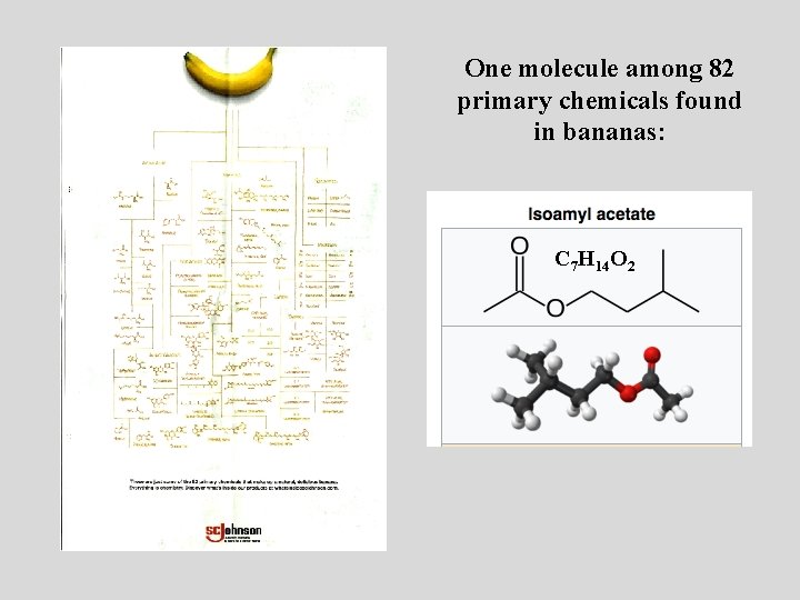 One molecule among 82 primary chemicals found in bananas: C 7 H 14 O