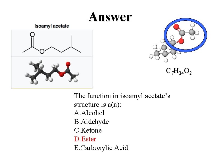 Answer C 7 H 14 O 2 The function in isoamyl acetate’s structure is
