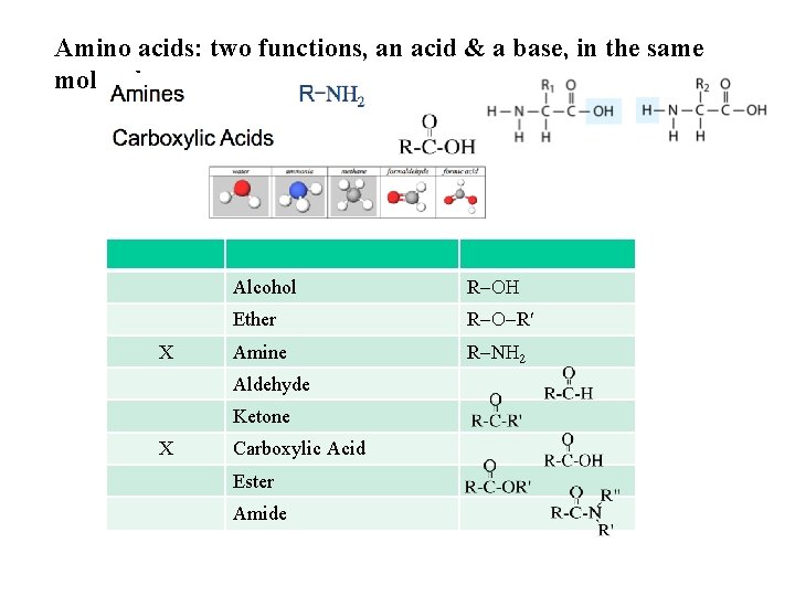 Amino acids: two functions, an acid & a base, in the same molecule X