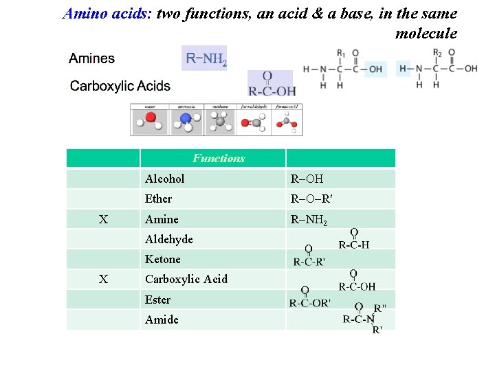 Amino acids: two functions, an acid & a base, in the same molecule Functions