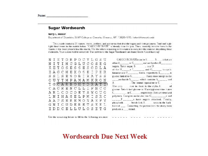 Wordsearch Due Next Week 