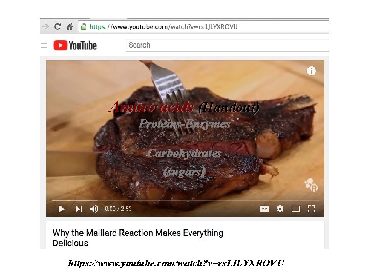 Amino acids (Handout) Proteins-Enzymes Carbohydrates (sugars) https: //www. youtube. com/watch? v=rs 1 JLYXROVU 