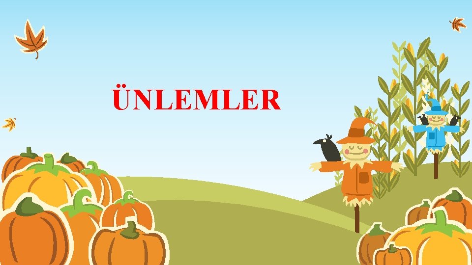 ÜNLEMLER 