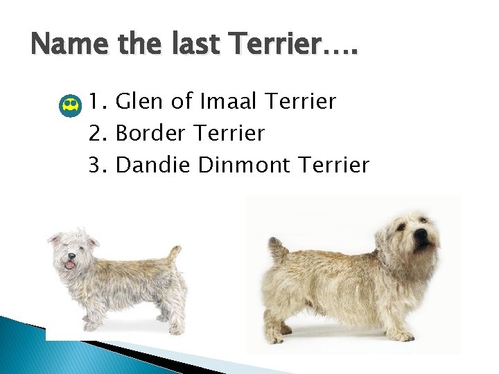 Name the last Terrier…. 1. Glen of Imaal Terrier 2. Border Terrier 3. Dandie