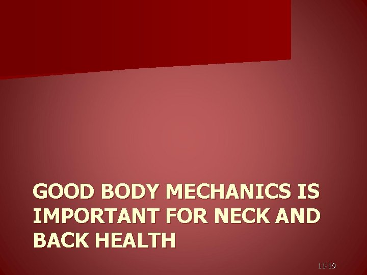 GOOD BODY MECHANICS IS IMPORTANT FOR NECK AND BACK HEALTH 11 -19 