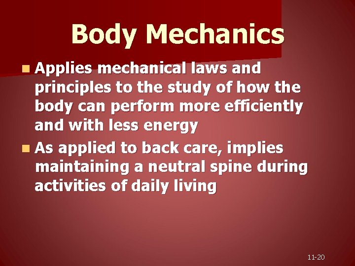 Body Mechanics n Applies mechanical laws and principles to the study of how the