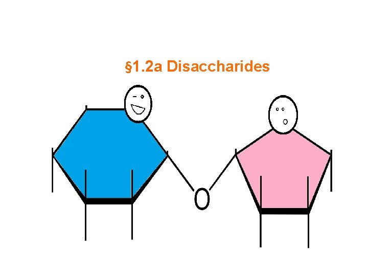 § 1. 2 a Disaccharides 