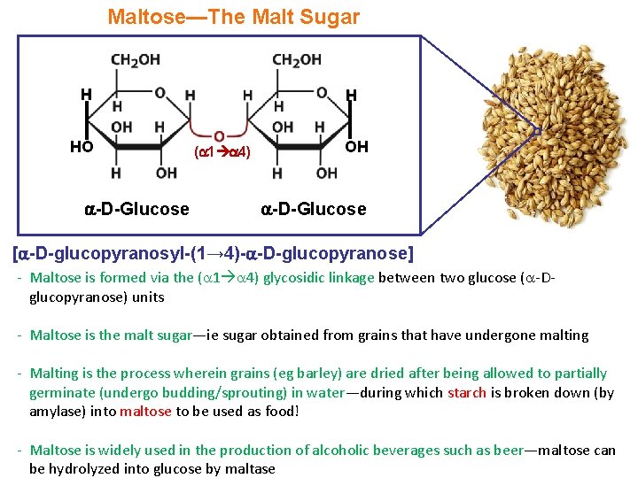 Maltose—The Malt Sugar H HO -D-Glucose H ( 1 4) OH -D-Glucose [ -D-glucopyranosyl-(1→