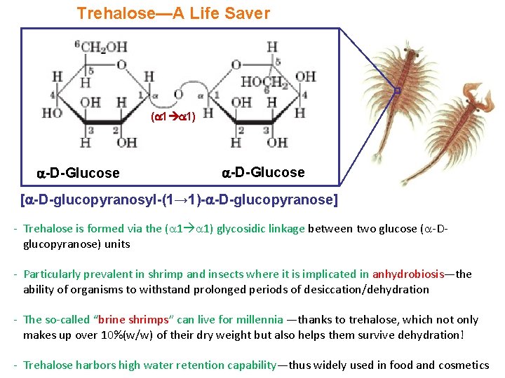 Trehalose—A Life Saver ( 1 1) -D-Glucose [ -D-glucopyranosyl-(1→ 1)- -D-glucopyranose] - Trehalose is