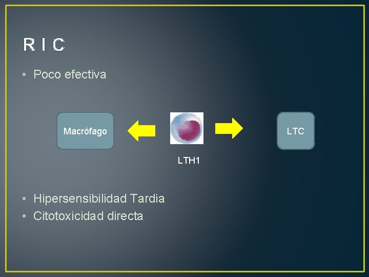 RIC • Poco efectiva Macrófago LTC LTH 1 • Hipersensibilidad Tardia • Citotoxicidad directa