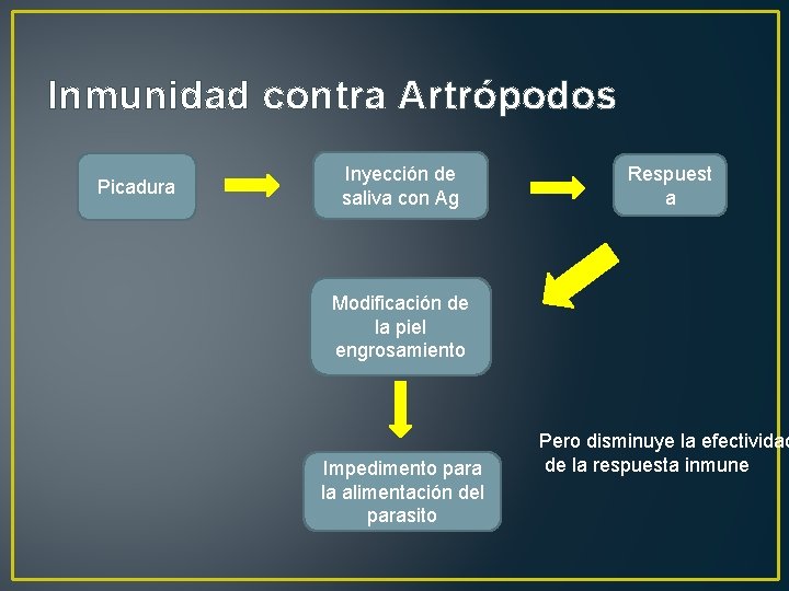 Inmunidad contra Artrópodos Picadura Inyección de saliva con Ag Respuest a Modificación de la