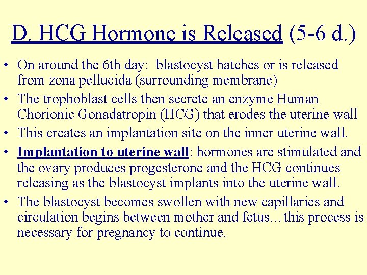 D. HCG Hormone is Released (5 -6 d. ) • On around the 6