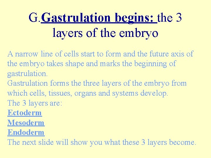 G. Gastrulation begins: the 3 layers of the embryo A narrow line of cells