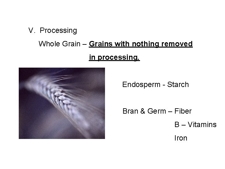 V. Processing Whole Grain – Grains with nothing removed in processing. Endosperm - Starch