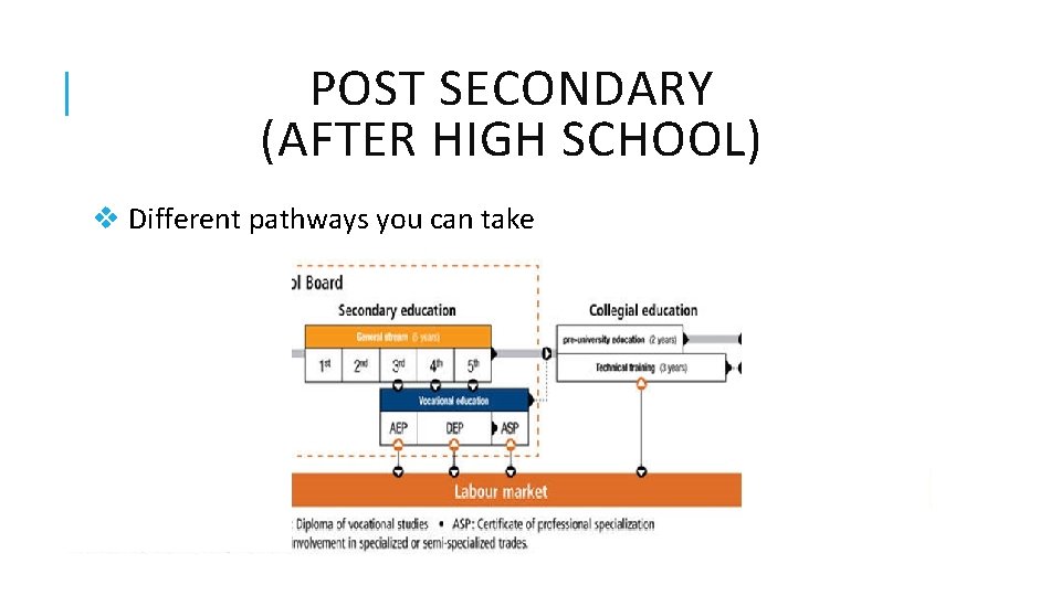 POST SECONDARY (AFTER HIGH SCHOOL) v Different pathways you can take 