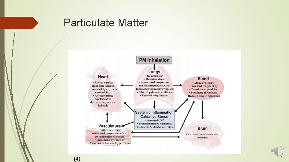 Particulate Matter (4) 