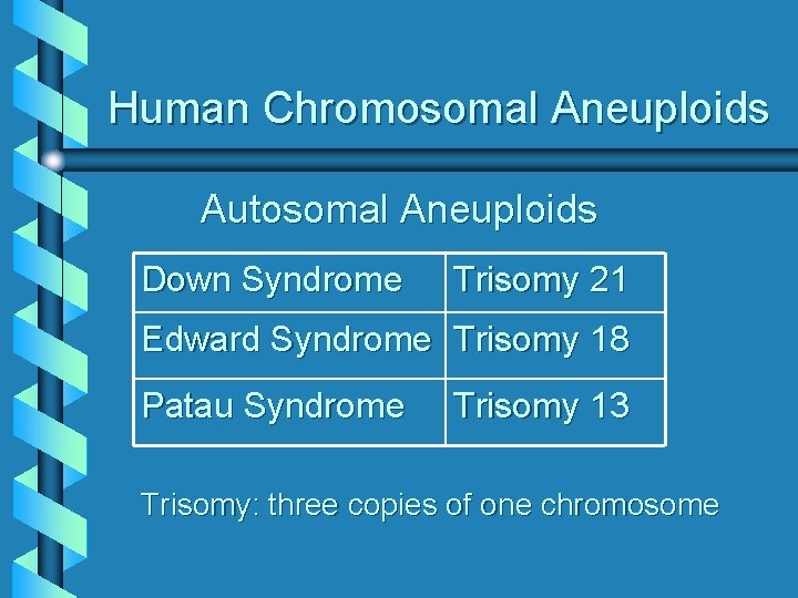 Human Chromosomal Aneuploids Autosomal Aneuploids Down Syndrome Trisomy 21 Edward Syndrome Trisomy 18 Patau