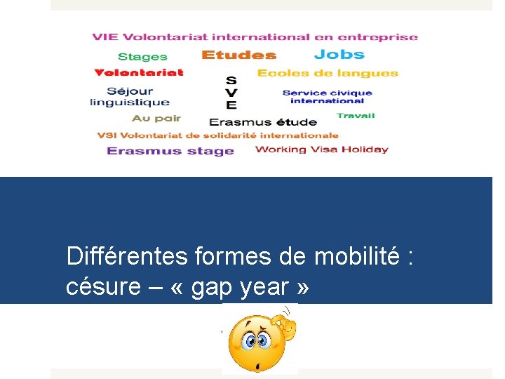 Différentes formes de mobilité : césure – « gap year » 