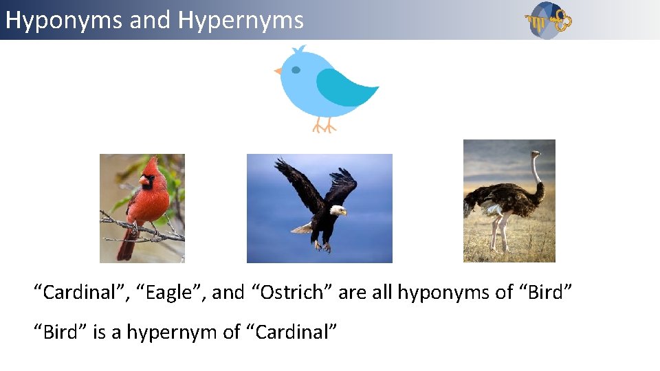 Hyponyms and Hypernyms Outline “Cardinal”, “Eagle”, and “Ostrich” are all hyponyms of “Bird” is