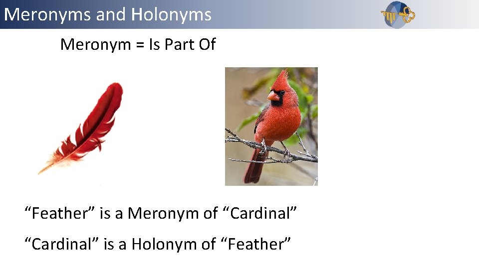 Meronyms and Holonyms Outline Meronym = Is Part Of “Feather” is a Meronym of