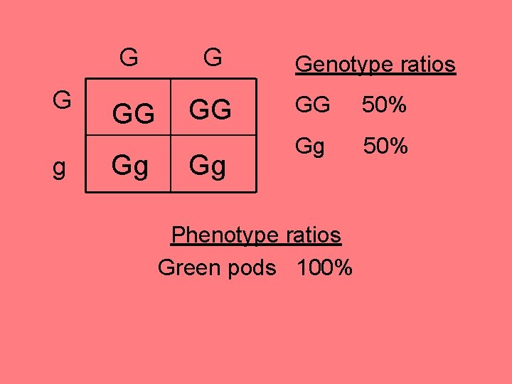 G g G G GG GG Gg Gg Genotype ratios GG 50% Gg 50%