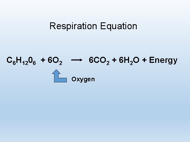 Respiration Equation C 6 H 1206 + 6 O 2 6 CO 2 +