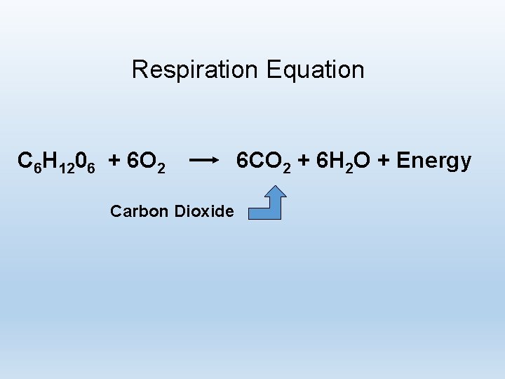 Respiration Equation C 6 H 1206 + 6 O 2 Carbon Dioxide 6 CO