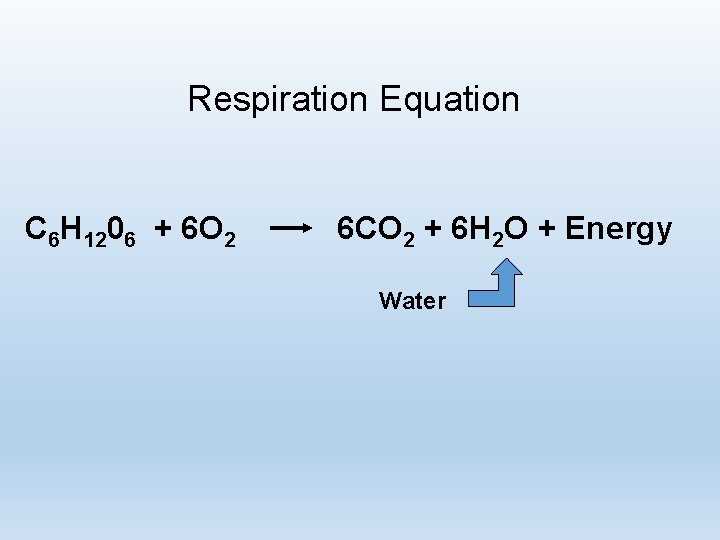 Respiration Equation C 6 H 1206 + 6 O 2 6 CO 2 +