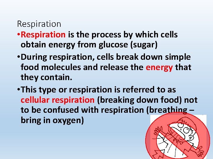 Respiration • Respiration is the process by which cells obtain energy from glucose (sugar)