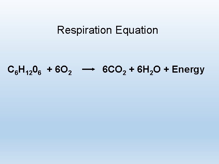 Respiration Equation C 6 H 1206 + 6 O 2 6 CO 2 +