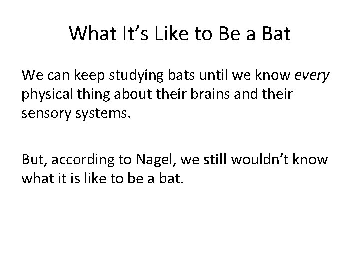 What It’s Like to Be a Bat We can keep studying bats until we