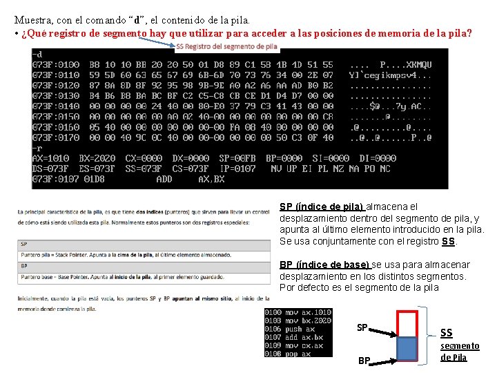Muestra, con el comando “d”, el contenido de la pila. • ¿Qué registro de