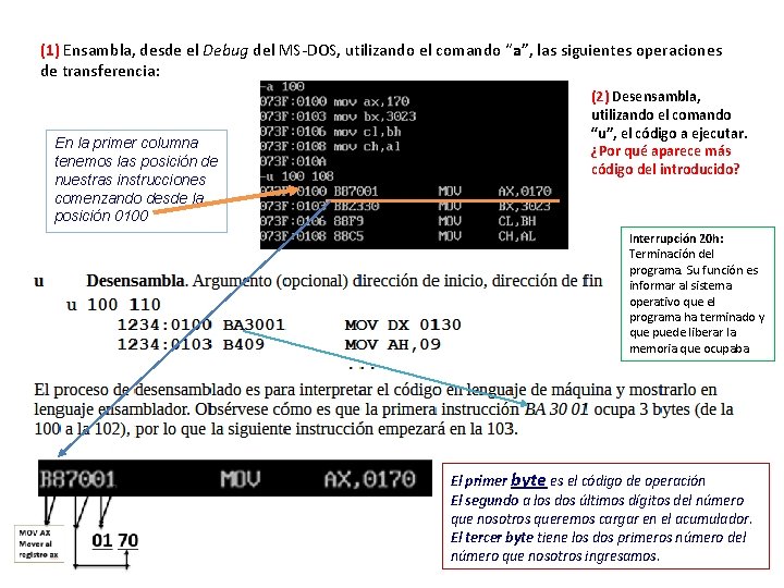 (1) Ensambla, desde el Debug del MS-DOS, utilizando el comando “a”, las siguientes operaciones