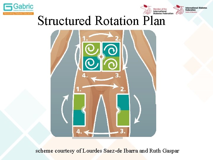 Structured Rotation Plan scheme courtesy of Lourdes Saez-de Ibarra and Ruth Gaspar 