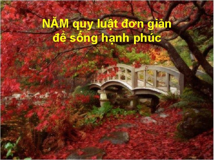 NĂM quy luật đơn giản để sống hạnh phúc 