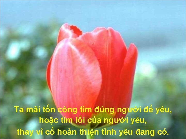 Ta mãi tốn công tìm đúng người để yêu, hoặc tìm lỗi của người