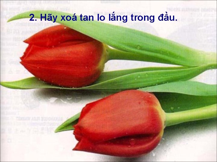 2. Hãy xoá tan lo lắng trong đầu. 